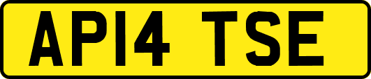 AP14TSE