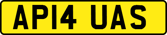 AP14UAS