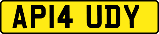 AP14UDY