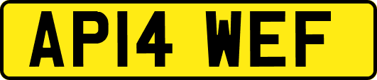 AP14WEF