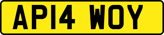 AP14WOY