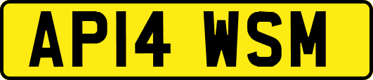 AP14WSM