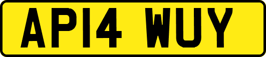 AP14WUY