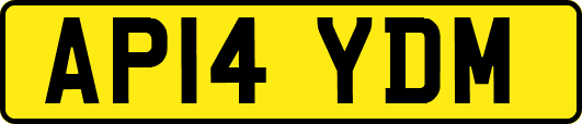 AP14YDM