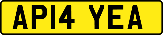 AP14YEA