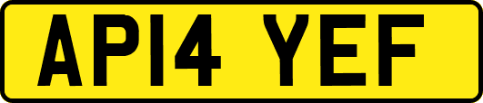 AP14YEF