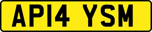 AP14YSM