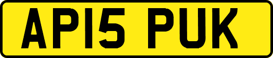 AP15PUK