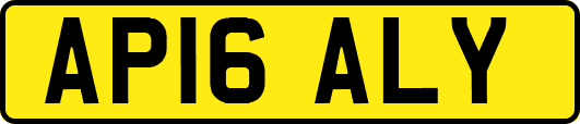 AP16ALY