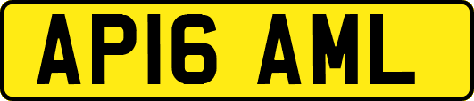AP16AML