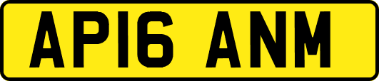 AP16ANM