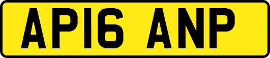 AP16ANP