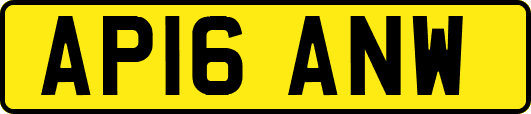 AP16ANW