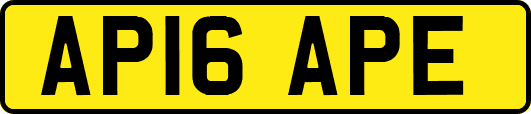 AP16APE