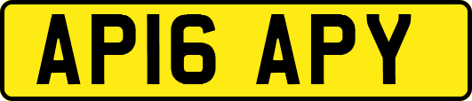AP16APY