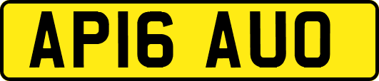 AP16AUO
