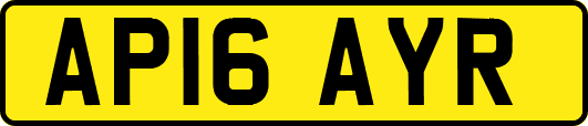 AP16AYR