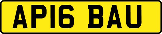 AP16BAU