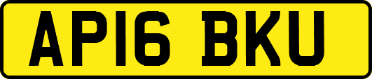 AP16BKU