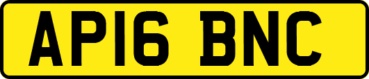 AP16BNC