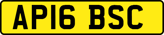 AP16BSC