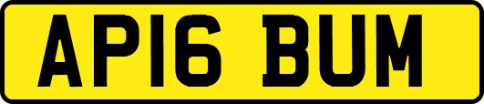 AP16BUM