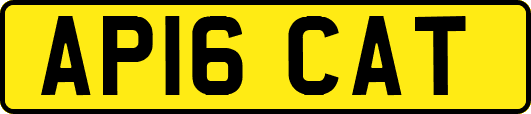 AP16CAT