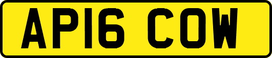 AP16COW