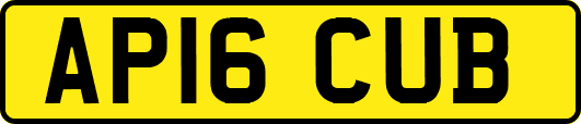AP16CUB