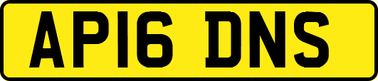 AP16DNS