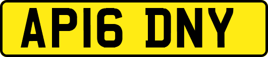 AP16DNY