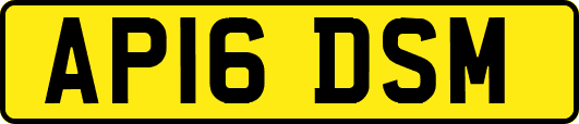 AP16DSM