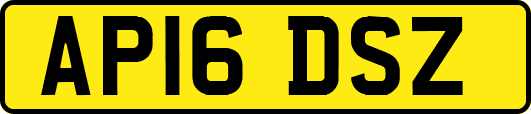 AP16DSZ
