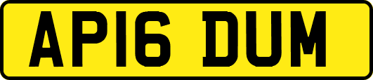 AP16DUM