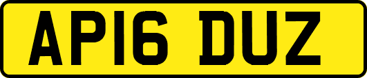 AP16DUZ