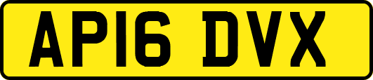 AP16DVX