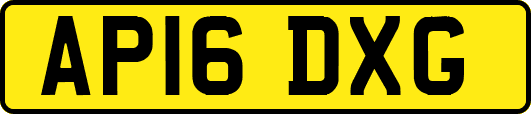 AP16DXG