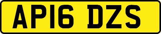 AP16DZS
