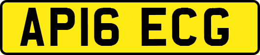 AP16ECG