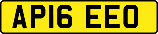 AP16EEO