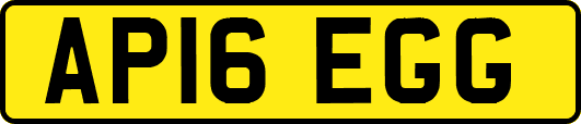 AP16EGG