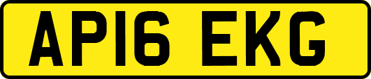 AP16EKG