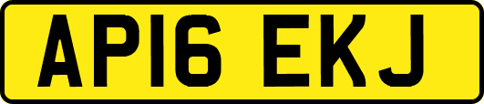 AP16EKJ