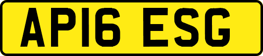 AP16ESG