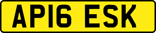 AP16ESK