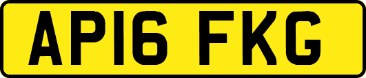 AP16FKG
