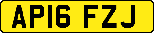 AP16FZJ