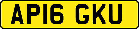 AP16GKU