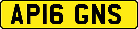 AP16GNS