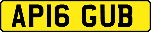 AP16GUB
